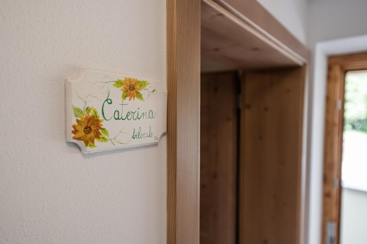 Villetta Val Di Sole Commezzadura Kültér fotó