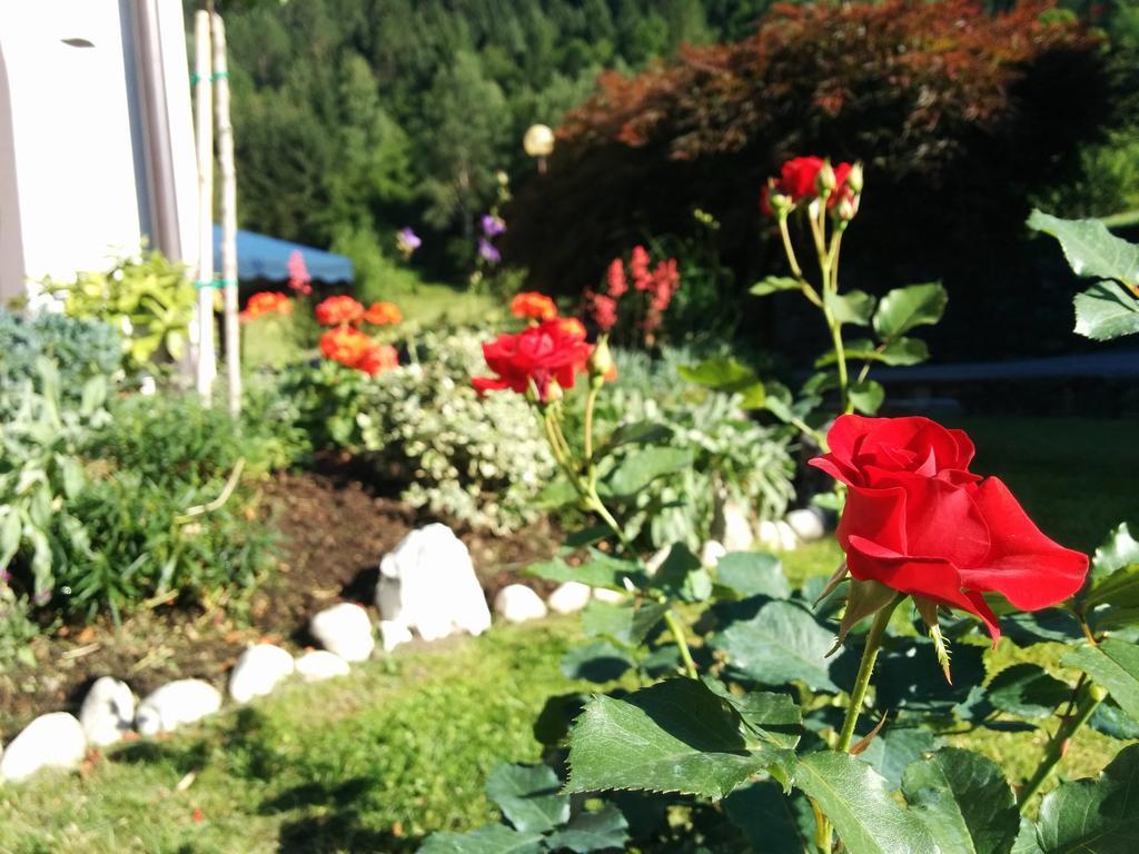 Villetta Val Di Sole Commezzadura Kültér fotó