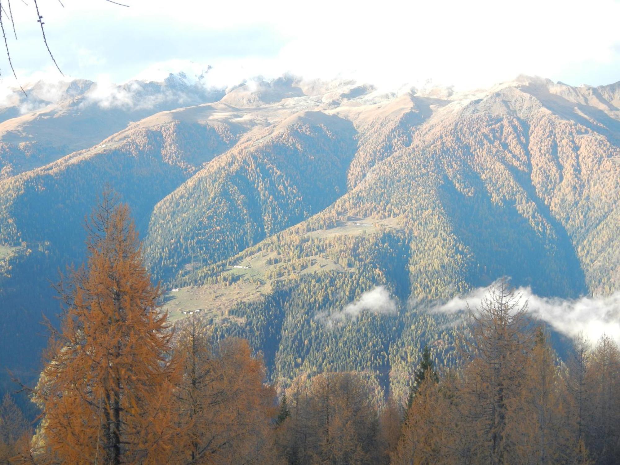 Villetta Val Di Sole Commezzadura Kültér fotó