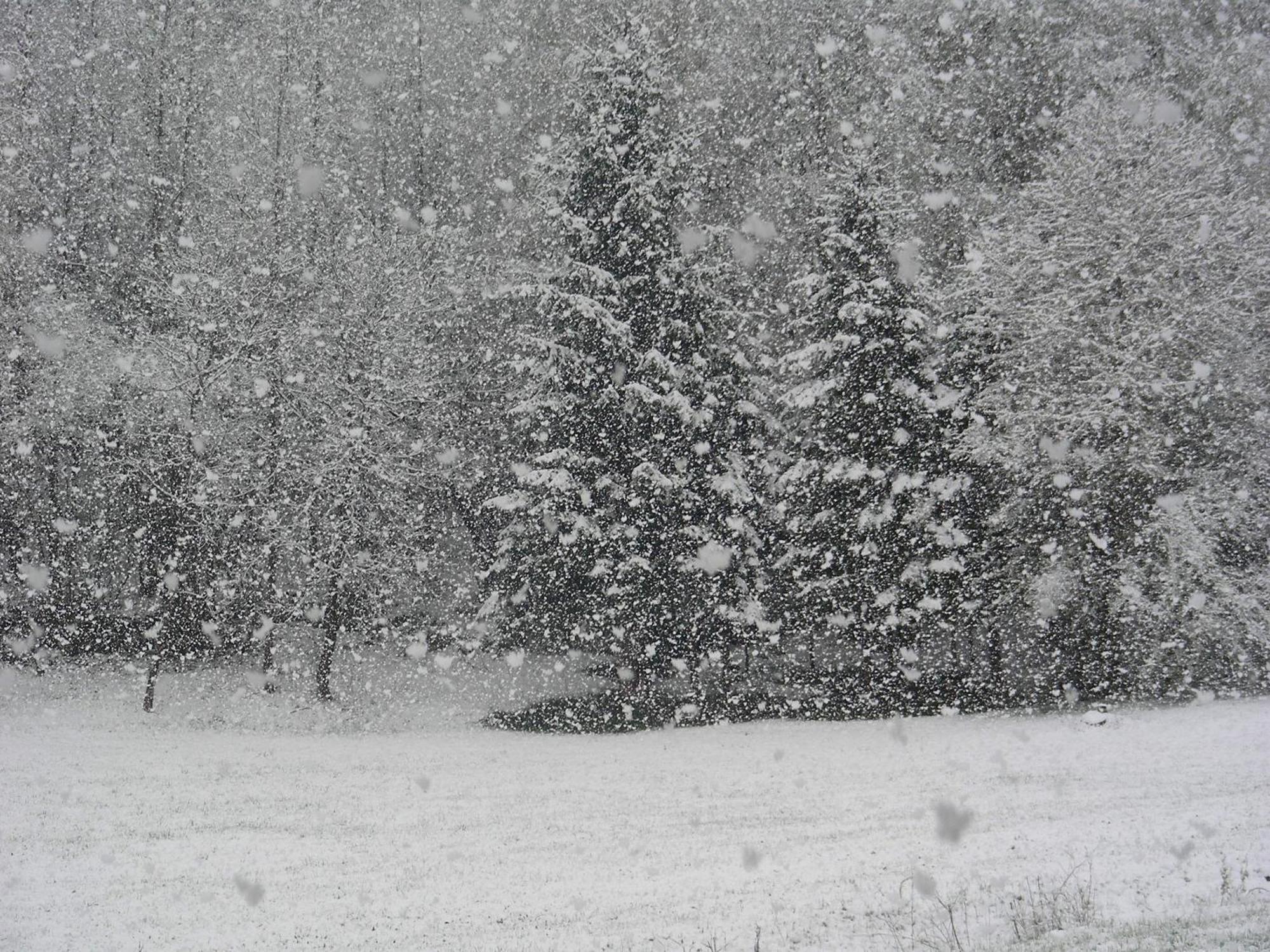 Villetta Val Di Sole Commezzadura Kültér fotó