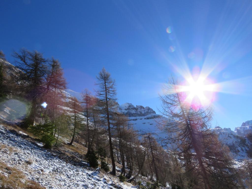 Villetta Val Di Sole Commezzadura Kültér fotó
